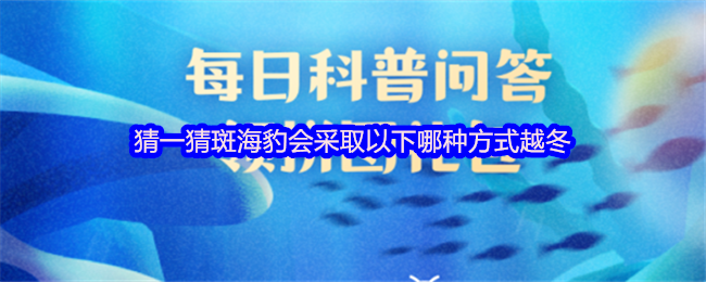 《支付宝》明明白白：斑海豹越冬方式大揭秘