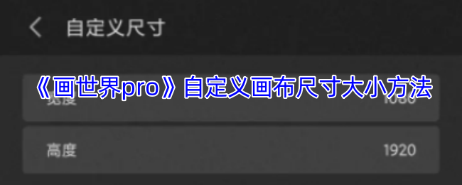 《画世界pro》如何调整画布尺寸以满足自定义需求