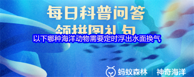 《支付宝》哪些海洋生物需要定期浮出水面呼吸？
