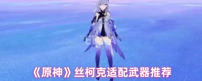《原神》丝柯克武器搭配指南推荐